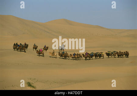 La Mongolie, le désert de Gobi, caravane,, des chameaux, des nomades, des dunes, de l'Asie, l'Asie centrale, l'Asie centrale, désert de sable, sable, dunes de sable, chaleur, sécheresse, personne, ride, groupe, la moitié des voyageurs, nomades, caravane de chameaux, animaux, mammifères, profiter des animaux, des bêtes de somme, équitation Banque D'Images