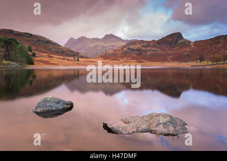 Le Langdale Pikes montagnes reflétée dans Blea Tarn, Lake District, Cumbria, Angleterre. L'automne (novembre) 2014. Banque D'Images