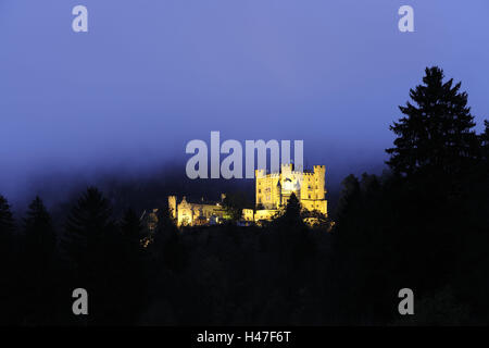 Allemagne, Bavière Allgäu, haut, la région de Swan, crépuscule, l'éclairage, l'attraction, de la structure, les arbres, le soir, de la construction, de l'extérieur, point d'intérêt, tourisme, château, verrouiller, historiquement, l'architecture, la destination, la culture, romantiquement, brouillard, gris, décor, Banque D'Images