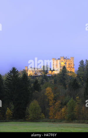 Allemagne, Bavière Allgäu, haut, la région de Swan, crépuscule, l'éclairage, l'attraction, de la structure, les arbres, le soir, de la construction, de l'extérieur, Sehenswüdigkeit, tourisme, château, verrouiller, historiquement, l'architecture, la destination, la culture, romantiquement, brouillard, gris, décor, Banque D'Images