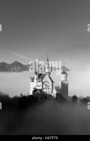 Allemagne, Bavière, Allgäu, château nouveau Swan's stone, brouillard, b/w, l'attraction, de la structure, de l'extérieur, le roi, de la culture, de l'écluse, château féerique, lieu de destination, d'intérêt, de la structure, de l'Europe, le château royal, Ludwig, de l'architecture, de style architectural, à pieds, landma Banque D'Images