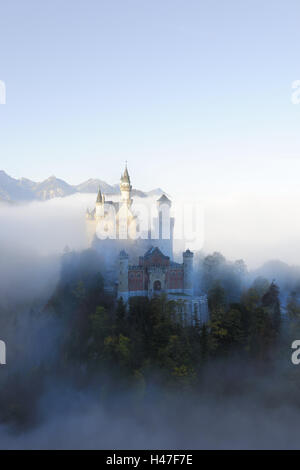 Allemagne, Bavière, Allgäu, château nouveau Swan's stone, brouillard, d'attraction, de la structure, de l'extérieur, le roi, de la culture, de l'écluse, château féerique, lieu de destination, d'intérêt, de la structure, de l'Europe, le château royal, Ludwig, de l'architecture, de style architectural, à pieds, des repères, Banque D'Images