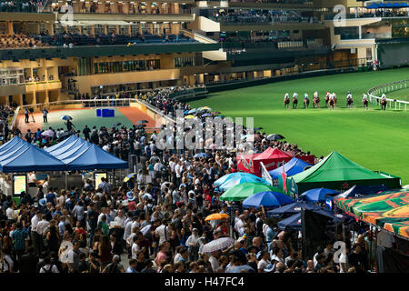 Hippodrome Happy Valley, Hong Kong, Chine. Banque D'Images