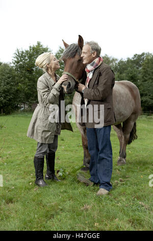 Femme, Homme, animation, cheval, course, caresse, Banque D'Images