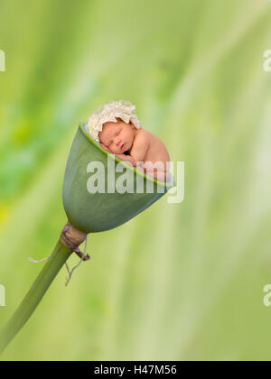 Adorable bébé dormir à l'intérieur d'une lotus pod contre un fond vert naturel Banque D'Images