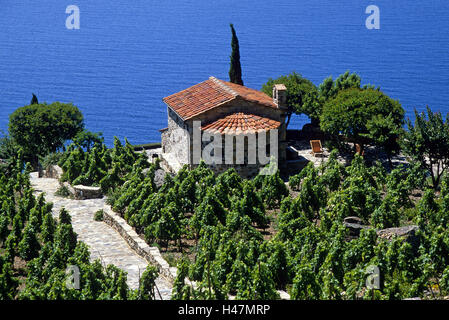 Italie, Toscane, l'île d'Elbe, maison en pierre, mer, maison, édifice, maison d'habitation, l'abside, vigne, viticulture, Chiessi, vignes, la mer Méditerranée, chalet d'été, des vacances, de la Méditerranée, vue, Banque D'Images