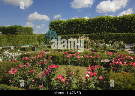 L'Allemagne, de faibles cas, Hannover, maisons jardins, jardin de roses de la Basse-Saxe, Banque D'Images