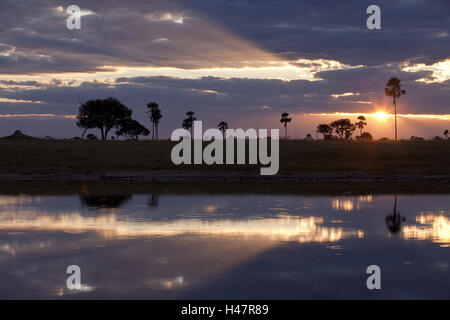 L'Afrique, Zimbabwe, région du nord du département, le parc national de Hwange, au crépuscule, Banque D'Images