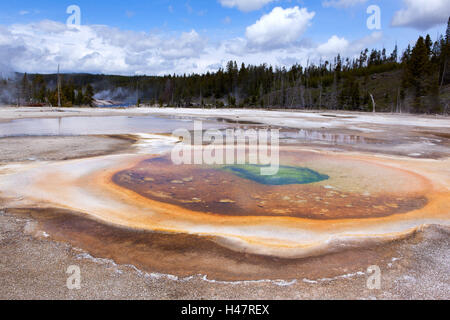 Etats-unis, Parc National de Yellowstone, Geyser Hill, Banque D'Images