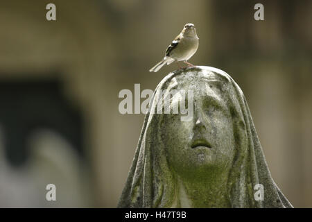 Grave yard, grave, statue, femme, détail, chef, oiseau, assis, Banque D'Images