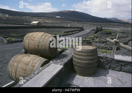 L'Espagne, les Canaries, Lanzarote, l'île de la superficie viticole La Geria, fûts de vin, la tradition, l'agriculture, du vin, du climat, de la lave, de paysages de lave et sèche, les domaines de la construction, de la viticulture, pressoirs, Winzerei, rétention, tonneaux, fûts de bois, ventes, du tourisme, de l'extérieur, déserte, Banque D'Images