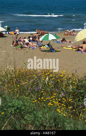 Italie, Toscane, Baratti, plage, touriste, fleurs, sable, fleurs sauvages, plage de sable, vacancier, mer, la mer Méditerranée, vacances, loisirs, repos, tourisme, Banque D'Images