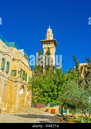 La vue sur le minaret Ghawanima derrière les arbres et les pèlerins musulmans" hostelfrom le côté gauche, Jérusalem, Israël. Banque D'Images