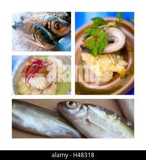 Divers plats de poisson et des recettes sur un collage Banque D'Images