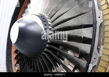 Close-up d'un ventilateur à turbine avec un nez noir et blanc mark Banque D'Images