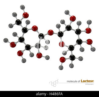 Illustration 3d de la molécule de lactose isolé sur fond blanc Banque D'Images