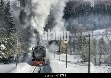 Allemagne, Saxe, Hammerunterwiesenthal, locomotive, vapeur, Banque D'Images