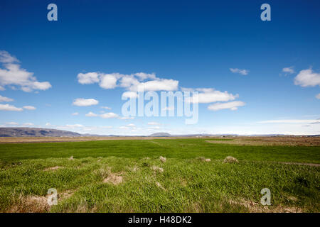 Dans les terres agricoles fertiles luxuriante du sud de l'Islande Banque D'Images