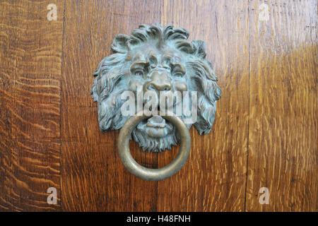 Doorknocker porte, lion, Close up, Banque D'Images