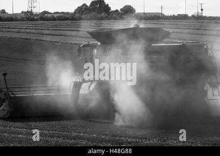 Rendmt Lexion Moissonneuse Batteuse Claas, Hertfordshire, Angleterre Banque D'Images