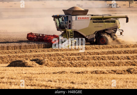 Rendmt Lexion Moissonneuse Batteuse Claas, Hertfordshire, Angleterre Banque D'Images