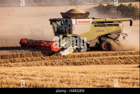 Rendmt Lexion Moissonneuse Batteuse Claas, Hertfordshire, Angleterre Banque D'Images