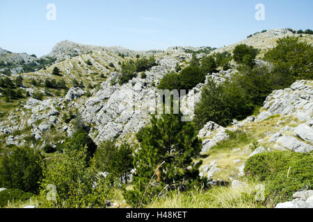 La Croatie, Dalmatie, Makarska, réserve naturelle, Biokovo Banque D'Images