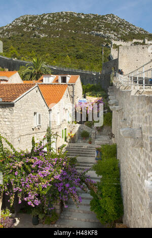 La Croatie, Dalmatie, presqu'île de Peljesac, Veli Ston, fortifications du 14. 100., une pension 'Ina' dans l'arrière-plan, Banque D'Images