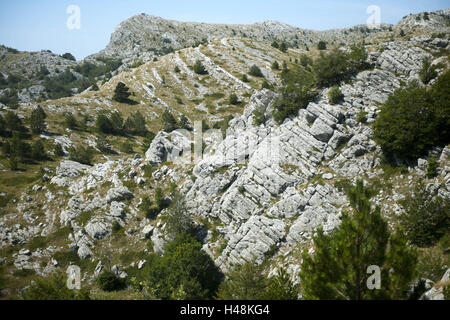 La Croatie, Dalmatie, Makarska, réserve naturelle, Biokovo Banque D'Images