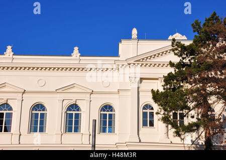 Allemagne (Saxe-Anhalt), Halle, à hall, Leopoldina, façade, à restaurer, Banque D'Images