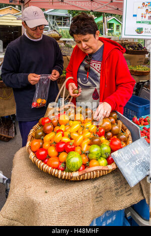 L'achat de femme au marché de producteurs de tomates Banque D'Images
