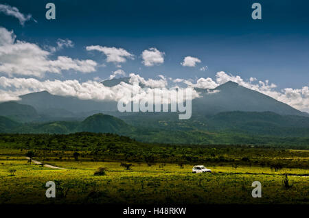 L'Afrique, Tanzanie, Afrique de l'Est, Mt. Meru, Parc National d'Arusha, Banque D'Images