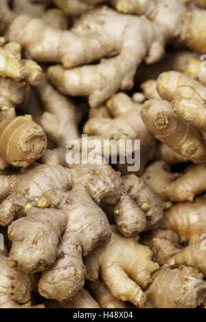 Les nodules, gingembre, Zingiber officinale, gingers, Rhizoma Zingiberis, Zingiberaceae, nodules, brown, Banque D'Images