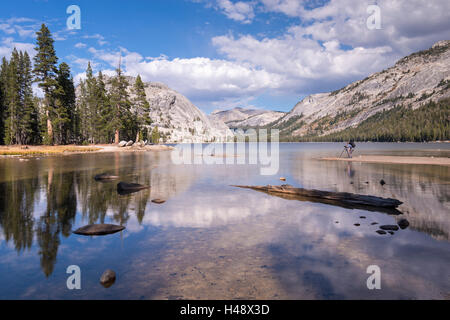 Photographe au Lac Tenaya dans Yosemite National Park, California, USA. L'automne (octobre) 2014. Banque D'Images