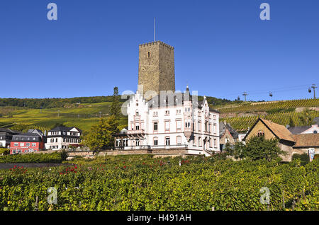 Allemagne, Hesse, Rheingau (région), Rüdesheim am Rhein (ville), Boosenburg, Banque D'Images