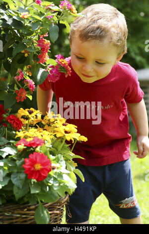 Petit enfant, garçon avec des fleurs dans le jardin, Banque D'Images