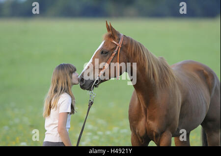 Teenagerin, horse, Paint horse, sur le côté, stand, Kiss, Banque D'Images