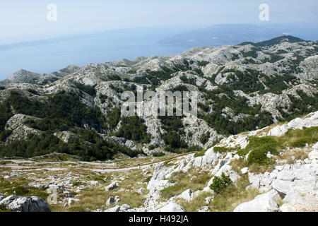 La Croatie, Dalmatie, Makarska, réserve naturelle, Biokovo Banque D'Images