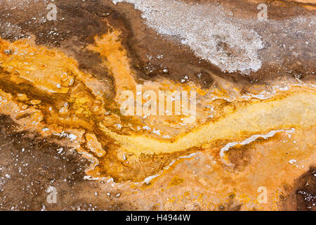 Etats-unis, Parc National de Yellowstone, Geyser Hill, Banque D'Images