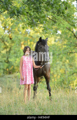 Girl, cheval arabe, Haflinger, prairie, vue de face, debout, looking at camera, Banque D'Images