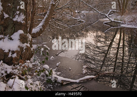 Impression d'hiver dans le Pinnautal, Allemagne, Schleswig - Holstein, Banque D'Images