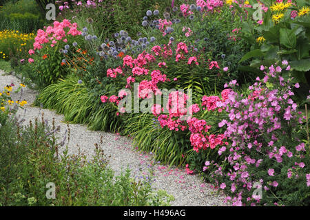 Jardin, fleurs, blossom, la saison, l'été, Banque D'Images