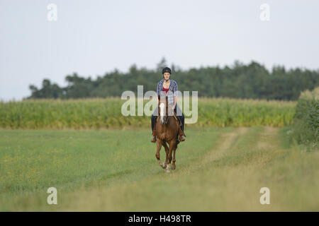 Adolescente, horse, Paint Horse, cheval, assis, looking at camera, Banque D'Images