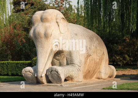 La Chine, les tombeaux des Ming, Ming-Shisan-Ling, de l'âme, Shendao, sculpture d'animaux, l'éléphant, en Asie, la culture, l'art, nécropole, Shisanling, avenue, chemin, funérailles communes, tombe en pièces jointes, tombes impériales, le mensonge, l'esprit avenue, dynastie Ming, figures de pierre, sculpture sur pierre, sculpture de l'éléphant, la sculpture, les animaux, parc, sculpture, historiquement, point d'intérêt, l'héritage culturel mondial de l'UNESCO, Banque D'Images