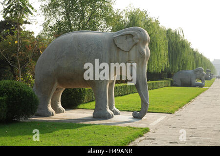 La Chine, les tombeaux des Ming, Ming-Shisan-Ling, de l'âme, Shendao, sculptures animalières, éléphants, en Asie, la culture, l'art, nécropole, Shisanling, avenue, chemin, funérailles communes, tombe en pièces jointes, tombes impériales, mensonge, vertical, l'esprit avenue, dynastie Ming, figures de pierre, des sculptures en pierre, les sculptures d'éléphants, de sculptures, d'animaux, sculpture, historiquement, parc, point d'intérêt, l'héritage culturel mondial de l'UNESCO, Banque D'Images