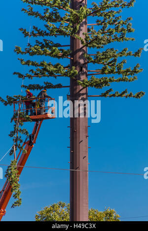 Workman dans Napa Californie assemblage d'un téléphone cellulaire ou mobile tower déguisée pour ressembler à un arbre Banque D'Images