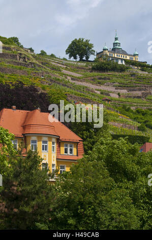 Spitzhaus, vignoble, Radebeul près de Dresde, Saxe, Allemagne, Banque D'Images