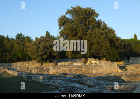 La Croatie, Kvarner, île de Brijuni Veli dans le parc national de Brijuni îles en face de Pula, le fort byzantin, lumière du soir, Banque D'Images