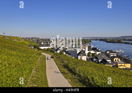 Allemagne, Hesse, Rheingau (région), Rüdesheim am Rhein (ville), vue de Niederwald Monument, Banque D'Images