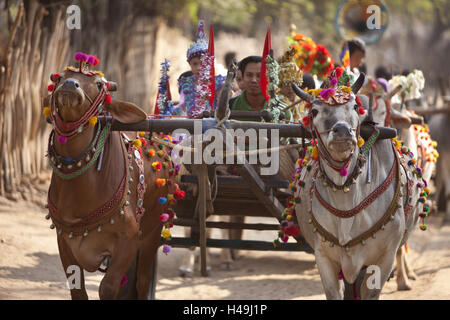 Le Myanmar, la région de Bagan, novice célébration, prince, les princesses, les enfants viennent à la cloître, Banque D'Images